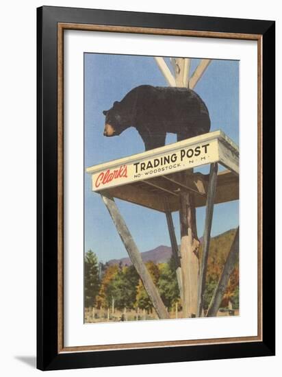 Bear, Clark's Trading Post, Woodstock, New Hampshire-null-Framed Art Print