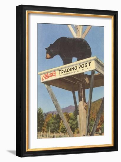 Bear, Clark's Trading Post, Woodstock, New Hampshire-null-Framed Art Print