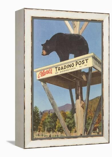 Bear, Clark's Trading Post, Woodstock, New Hampshire-null-Framed Stretched Canvas