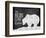 Bear Claw Cabin-null-Framed Giclee Print