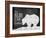 Bear Claw Cabin-null-Framed Giclee Print