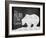 Bear Claw Cabin-null-Framed Giclee Print