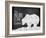 Bear Claw Cabin-The Saturday Evening Post-Framed Giclee Print