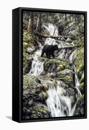 Bear Creek Crossing-Jeff Tift-Framed Premier Image Canvas