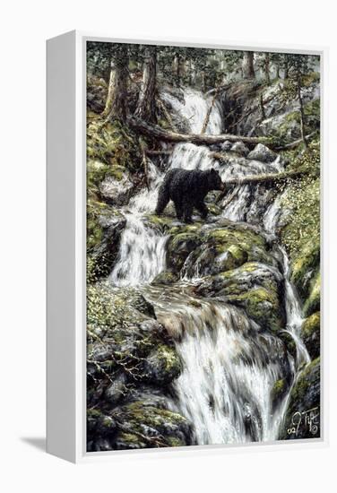 Bear Creek Crossing-Jeff Tift-Framed Premier Image Canvas