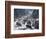 Bear Crossing-Jeff Tift-Framed Giclee Print