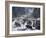 Bear Crossing-Jeff Tift-Framed Giclee Print