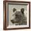 Bear Focus - Hush-Wink Gaines-Framed Giclee Print