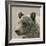 Bear Focus - Hush-Wink Gaines-Framed Giclee Print