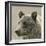 Bear Focus - Hush-Wink Gaines-Framed Giclee Print