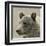 Bear Focus - Hush-Wink Gaines-Framed Giclee Print