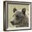 Bear Focus-Wink Gaines-Framed Giclee Print