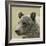 Bear Focus-Wink Gaines-Framed Giclee Print