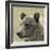 Bear Focus-Wink Gaines-Framed Giclee Print