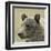 Bear Focus-Wink Gaines-Framed Giclee Print