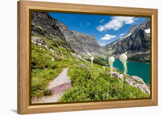 Bear Grass Flowers Above Lake Ellen Wilson in Glacier NP, Montana-James White-Framed Premier Image Canvas