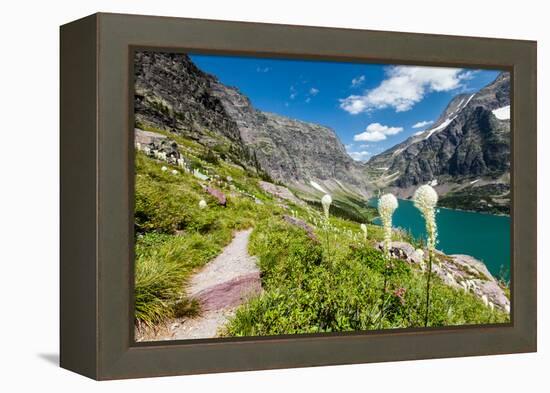 Bear Grass Flowers Above Lake Ellen Wilson in Glacier NP, Montana-James White-Framed Premier Image Canvas