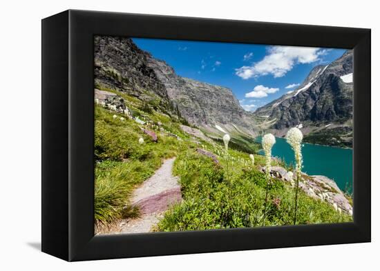 Bear Grass Flowers Above Lake Ellen Wilson in Glacier NP, Montana-James White-Framed Premier Image Canvas