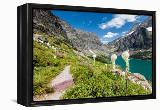 Bear Grass Flowers Above Lake Ellen Wilson in Glacier NP, Montana-James White-Framed Premier Image Canvas