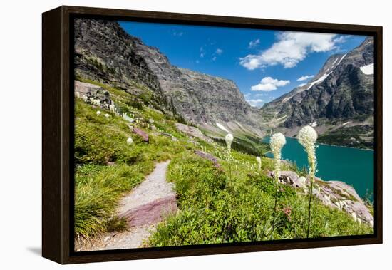 Bear Grass Flowers Above Lake Ellen Wilson in Glacier NP, Montana-James White-Framed Premier Image Canvas