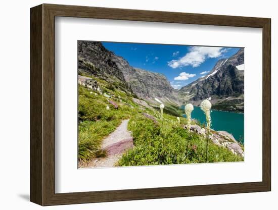 Bear Grass Flowers Above Lake Ellen Wilson in Glacier NP, Montana-James White-Framed Photographic Print