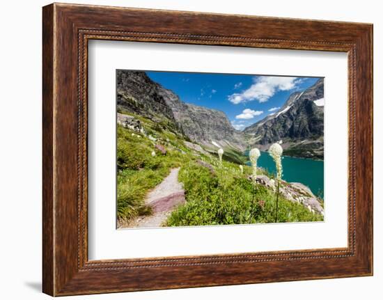 Bear Grass Flowers Above Lake Ellen Wilson in Glacier NP, Montana-James White-Framed Photographic Print