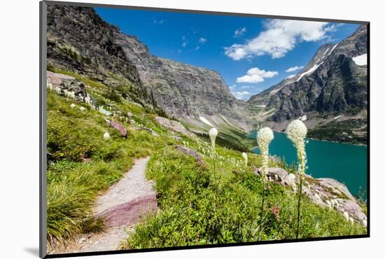 Bear Grass Flowers Above Lake Ellen Wilson in Glacier NP, Montana-James White-Mounted Photographic Print