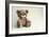 Bear Heart-null-Framed Photographic Print