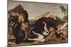 Bear Hunt Or, Battle Between Dogs and Bears-Paul De Vos-Mounted Giclee Print