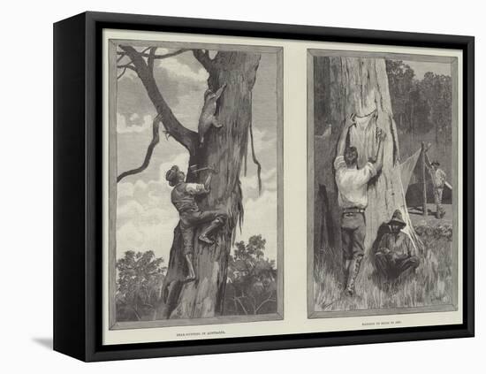 Bear Hunting in Australia-null-Framed Premier Image Canvas