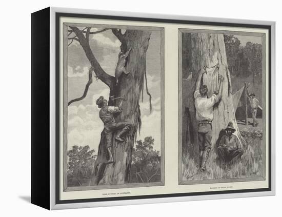 Bear Hunting in Australia-null-Framed Premier Image Canvas