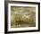 Bear Hunting in the Arctic-Abraham Storck-Framed Giclee Print