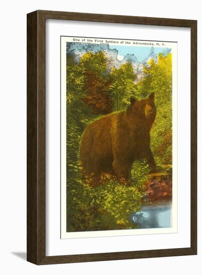 Bear in the Adirondacks, New York-null-Framed Art Print