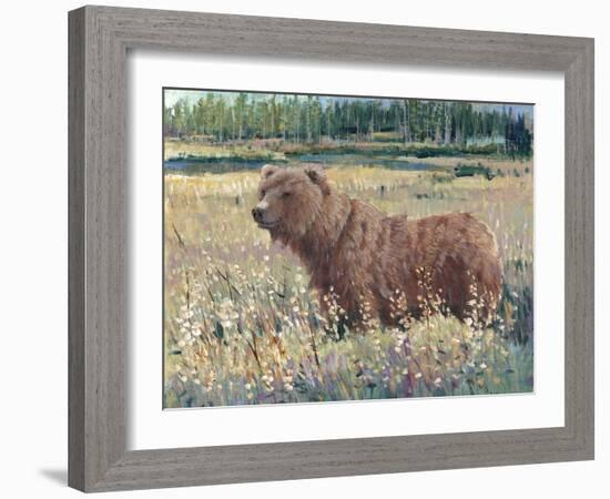 Bear in the Field-Tim OToole-Framed Art Print