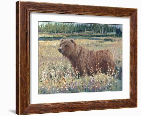 Bear in the Field-Tim OToole-Framed Art Print