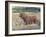 Bear in the Field-Tim OToole-Framed Art Print