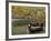 Bear Mountain Park, New York, USA-Julian McRoberts-Framed Photographic Print