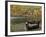 Bear Mountain Park, New York, USA-Julian McRoberts-Framed Photographic Print