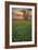 Bear Mountain-Mark Geistweite-Framed Photographic Print