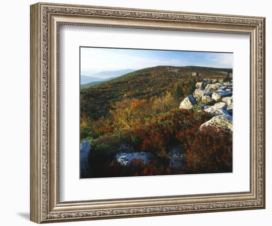 Bear Rocks, Dolly Sods Wilderness Area, Monongahela National Forest, West Virginia, USA-Adam Jones-Framed Photographic Print