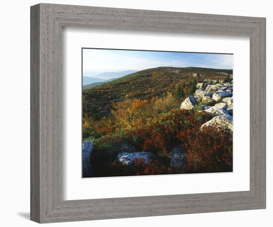 Bear Rocks, Dolly Sods Wilderness Area, Monongahela National Forest, West Virginia, USA-Adam Jones-Framed Photographic Print