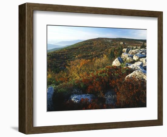 Bear Rocks, Dolly Sods Wilderness Area, Monongahela National Forest, West Virginia, USA-Adam Jones-Framed Photographic Print