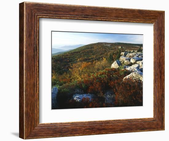 Bear Rocks, Dolly Sods Wilderness Area, Monongahela National Forest, West Virginia, USA-Adam Jones-Framed Photographic Print
