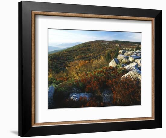 Bear Rocks, Dolly Sods Wilderness Area, Monongahela National Forest, West Virginia, USA-Adam Jones-Framed Photographic Print