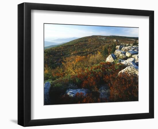 Bear Rocks, Dolly Sods Wilderness Area, Monongahela National Forest, West Virginia, USA-Adam Jones-Framed Photographic Print