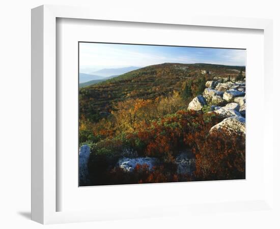 Bear Rocks, Dolly Sods Wilderness Area, Monongahela National Forest, West Virginia, USA-Adam Jones-Framed Photographic Print