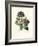 Bear's Ear-Pierre-Joseph Redouté-Framed Giclee Print