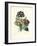 Bear's Ear-Pierre-Joseph Redouté-Framed Giclee Print