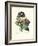 Bear's Ear-Pierre-Joseph Redouté-Framed Giclee Print