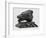 Bear's Head, C.1900-John Macallan Swan-Framed Giclee Print